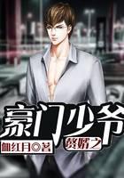 The son-in-law of the wealthy young master